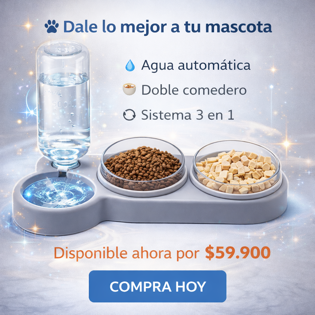 Más Orden, Más Comodidad, Más Amor Con El Comedero Y Bebedero 3 en 1